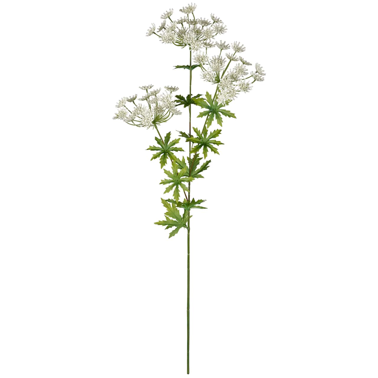12 Pack: White Queen Anne's Lace Spray by Ashland®